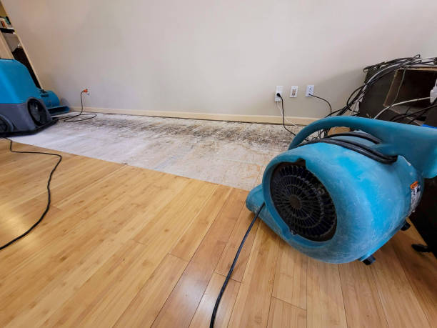 Professional Structural Drying technician working in Upperville, VA